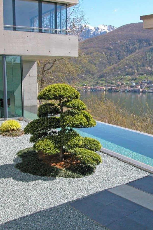 Piscina in cemento armato a vista 